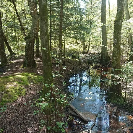 Seaside Haven Retreat - By Traum 度假居 *